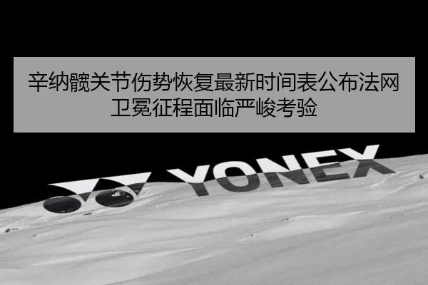 辛纳髋关节伤势恢复最新时间表公布法网卫冕征程面临严峻考验