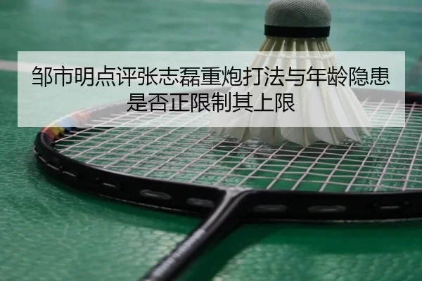 邹市明点评张志磊重炮打法与年龄隐患是否正限制其上限